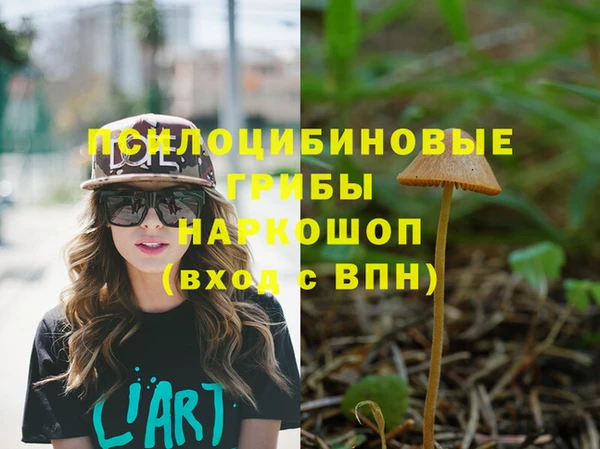 а пвп мука Алзамай