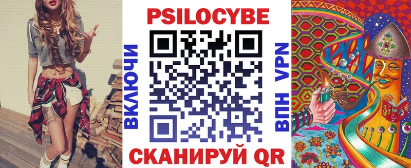 магазин    Черкесск  Галлюциногенные грибы Psilocybine cubensis 