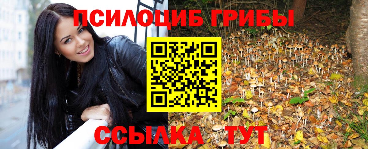 Галлюциногенные грибы Magic Shrooms  Вход с VPN  Черкесск  Псилоцибиновые грибы прущие грибы 