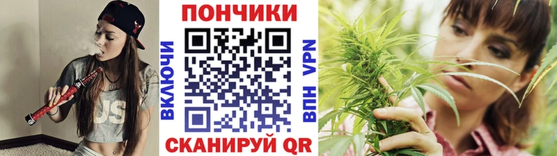omg ссылка  как найти наркотики  Черкесск  Бошки марихуана Bruce Banner 